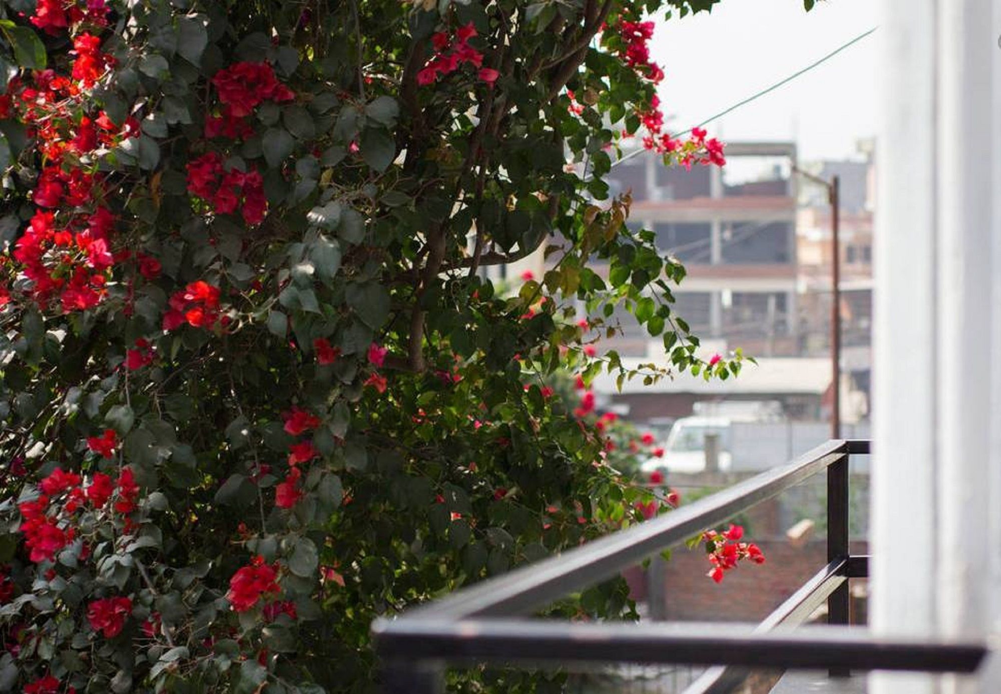 Le Rhododendron Chambres D'Hotes Kathmandu Exterior foto